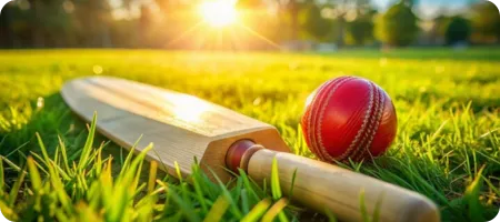 Cricket betting at Spinoloco
